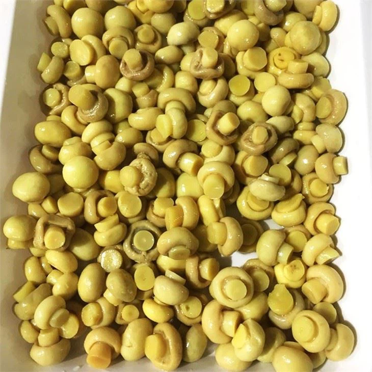 Champignon Agaricus In Brine (4)