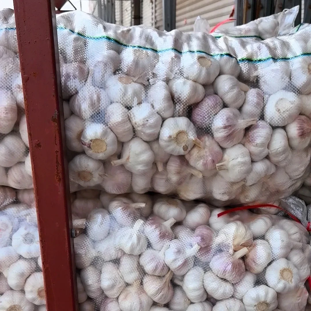 Garlic in Chinese Factory Fresh White factory